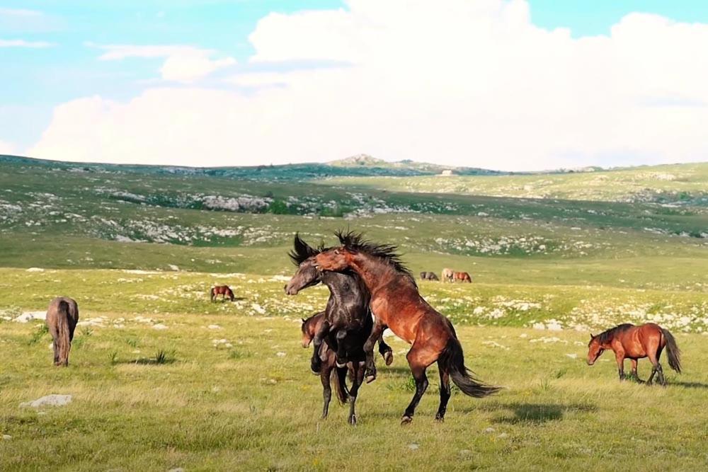 Apartmani Kaic Livno Luaran gambar